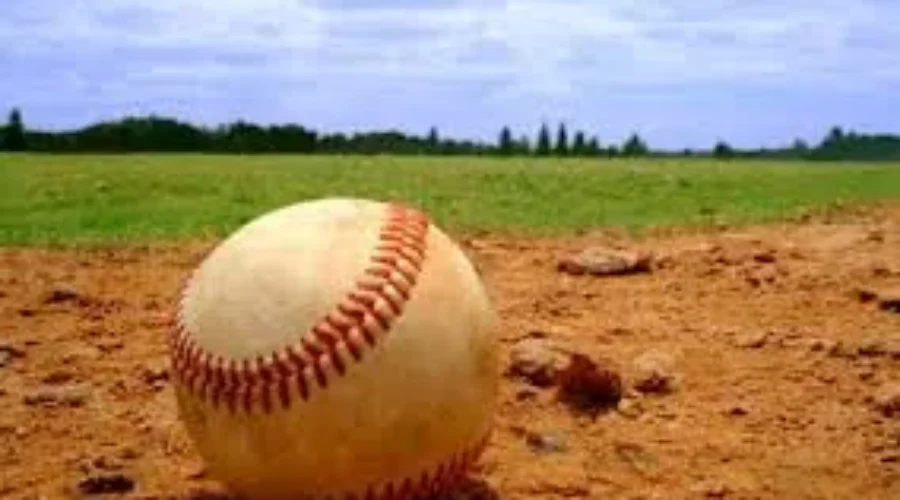 Bridgewater Baseball Players Named To Provincial Team