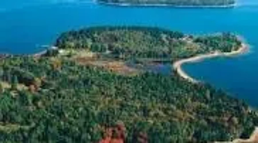 Top Ten Remain For Oak Island Logo Contest