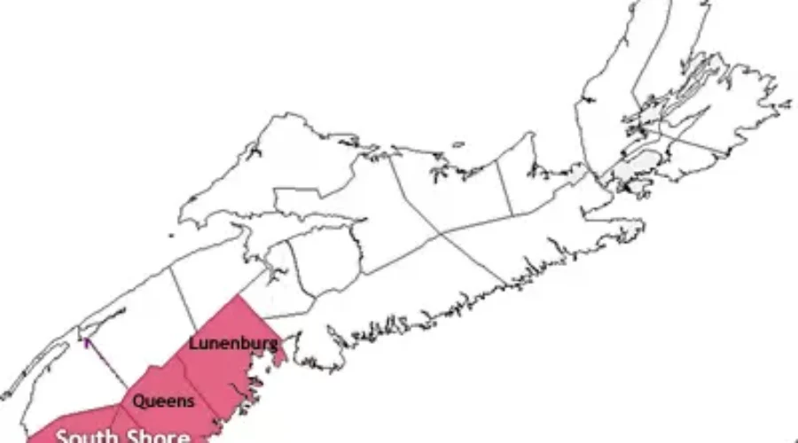Regional Meeting Of Municipal Units Held In Western Shore