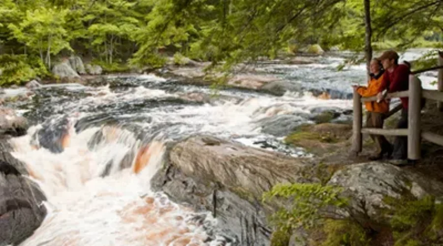 Keji, NSCC Offer Fall Culinary Hike