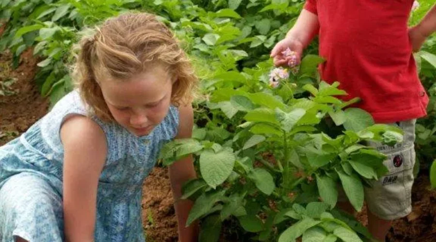 Farmers Open Doors To Visitors