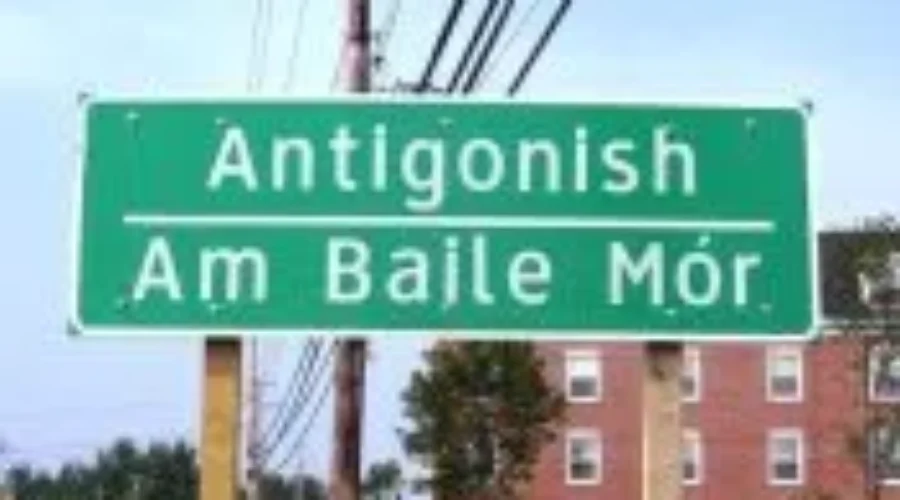 Antigonish Hit And Run