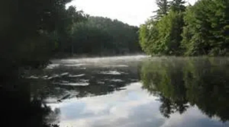 Environmental Group Concerned About Straight Pipes