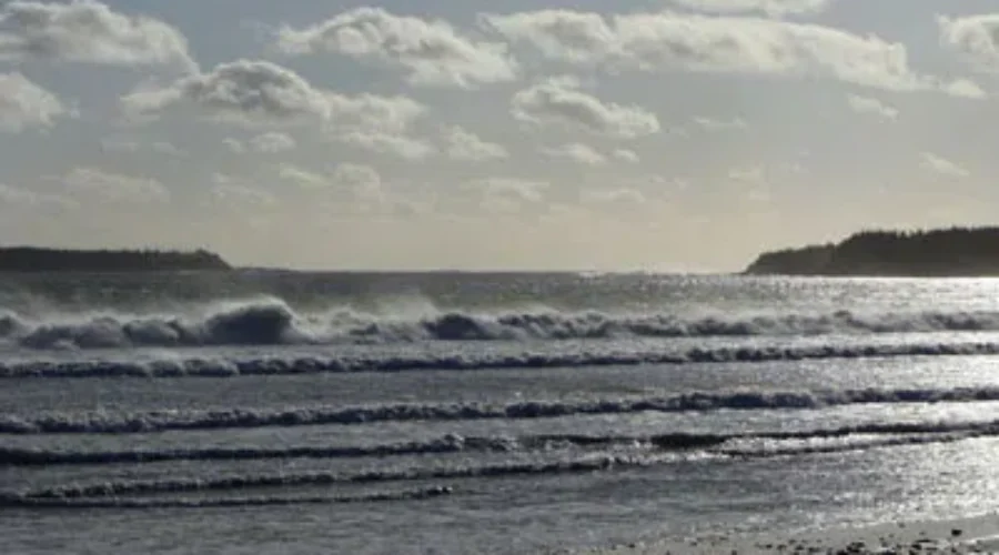 People in Mahone Bay Are Hoping To Save Their Shoreline