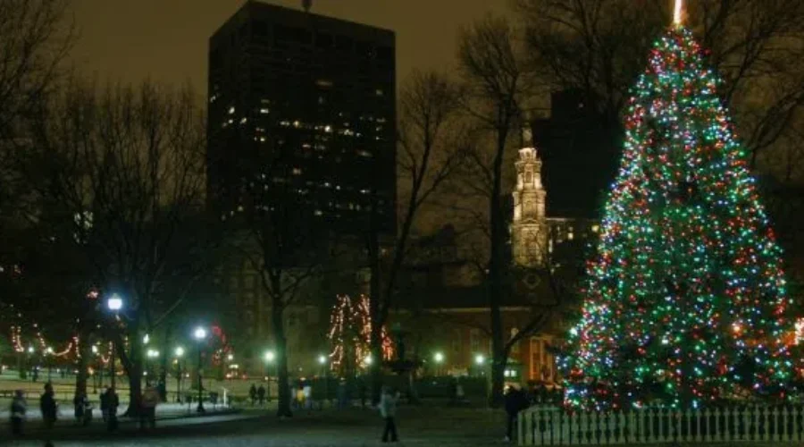 Boston Christmas Tree