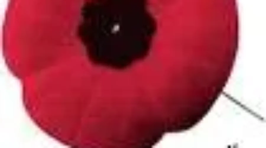 Counting Poppy Sales