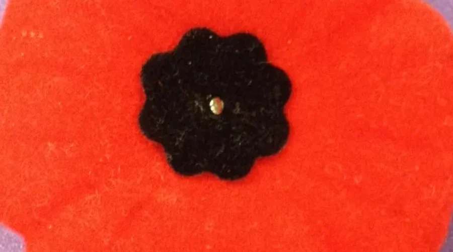 Poppy Campaign Is In Full Swing