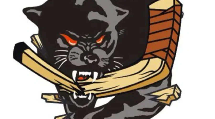 Park View Boys Hockey Team Falls To Bridgetown