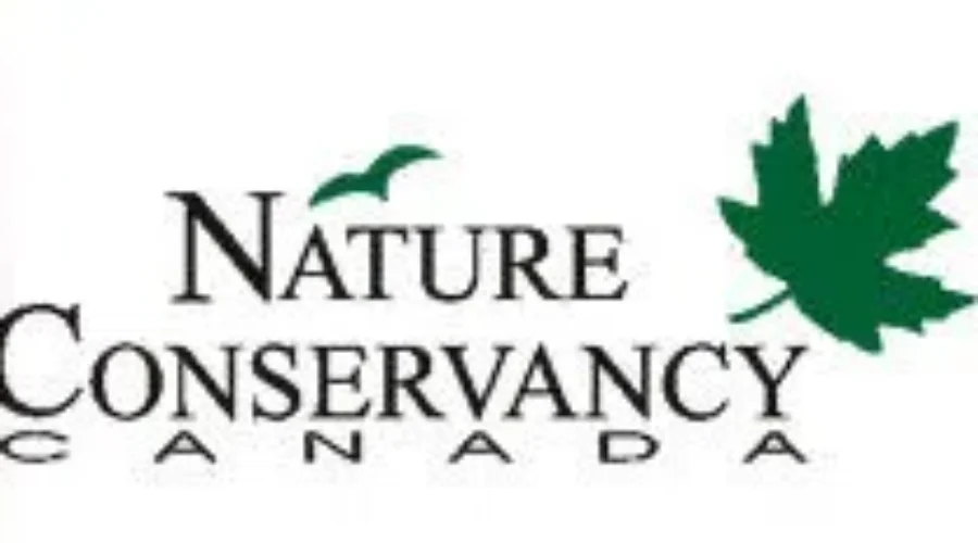 Nature Conservancy Tracking Birds In Queens, Shelburne