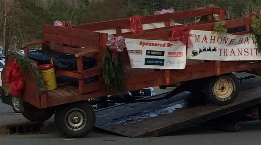 Festival May Stop Horse-Drawn Carriage Rides After Weekend Incident