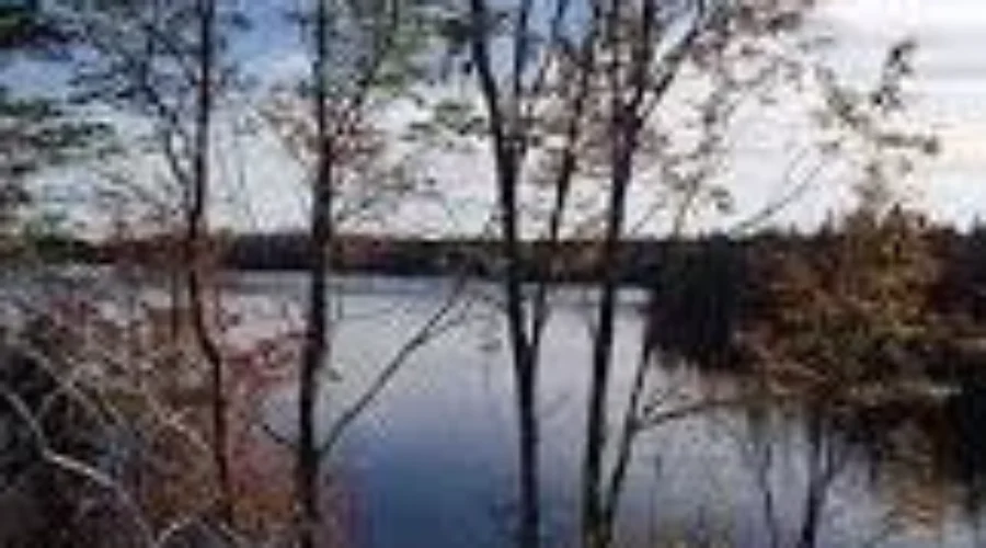 Municipality of Lunenburg Becomes A “Blue” Community