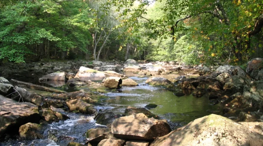 Increased Attendance At National Parks