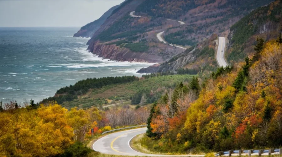 Annual Discovery Pass Good For Two Years