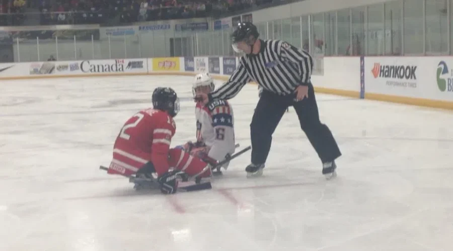 Provincial Sledge Hockey Team In The Works