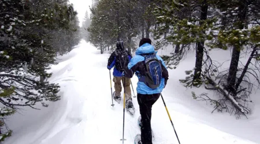 Hike Nova Scotia Picks Up On Snowshoeing Trend