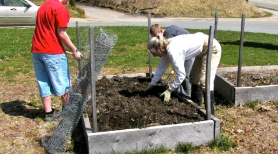 Bridgewater: Business Offers Town $25,000 To Hire Garden Coordinator