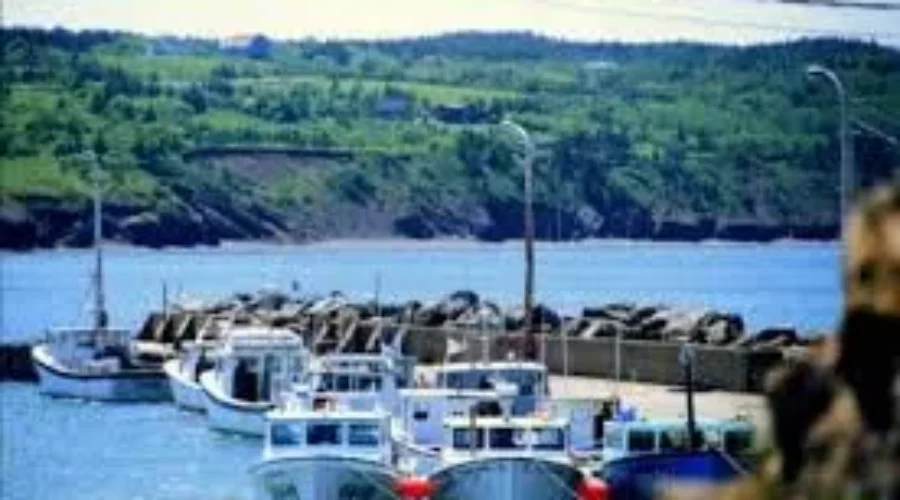 Group Invests In PFDs For 500 Fishermen