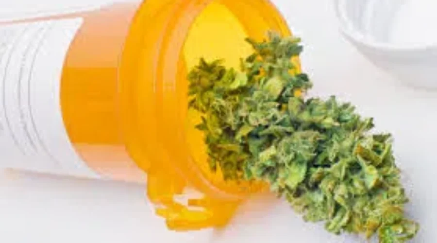 Nova Scotia MS Patient Welcomes Medical Marijuana Ruling