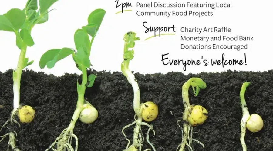 Seedy Saturday Celebrates 10 Years