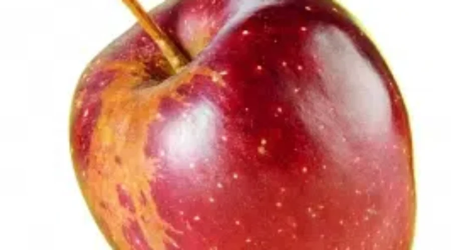 “Ugly Fruit Movement” Comes To Lunenburg County