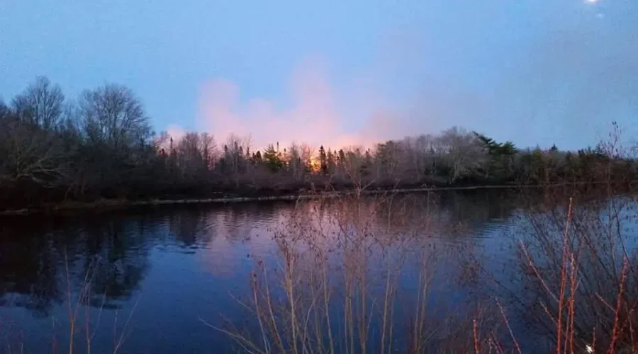 DNR Extinguishes Forest Fire In Lower Clyde River