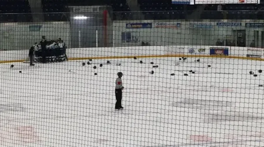 Gryphons Win Division 1 Boys Hockey Banner
