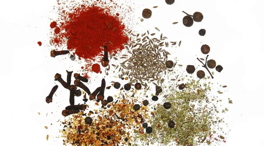 Seed Library Launching Next Week