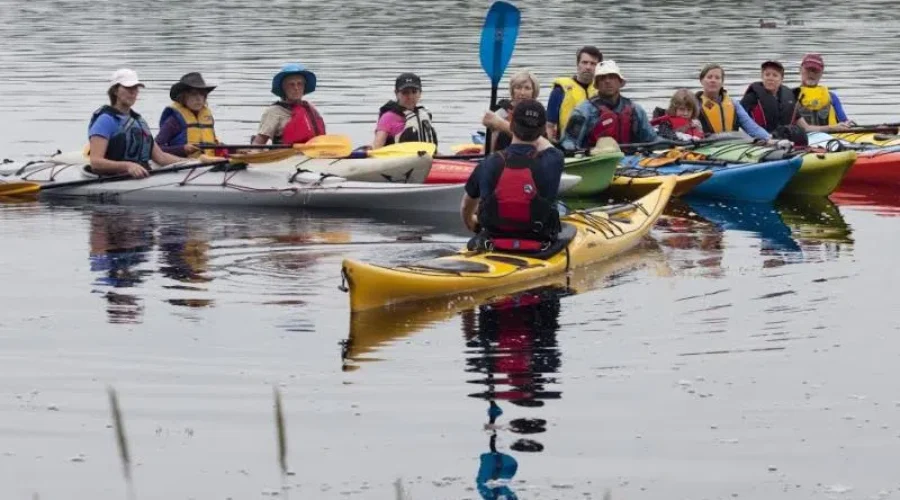 Shelburne Kayak Festival Offering Bursaries To Attract New Paddlers