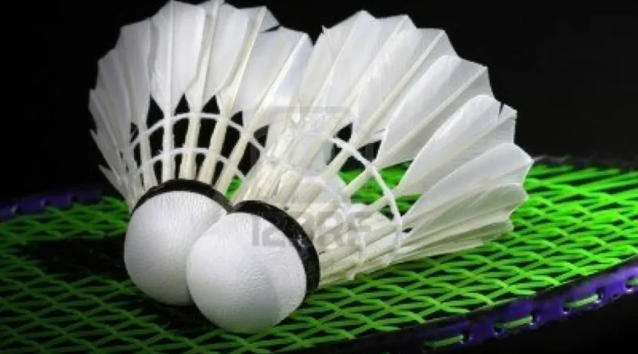 Bridgewater Badminton Players Excel At Provincials