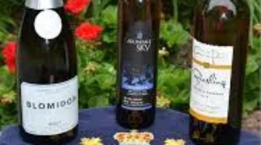 Recognizing The Best Nova Scotian Wines