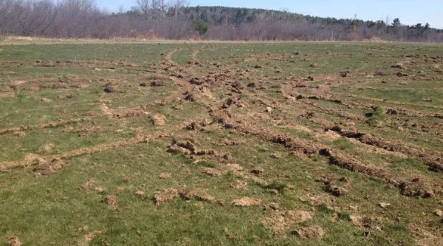 North Queens: Police Receiving Tips On Field Damage; No Arrests Have Been Made