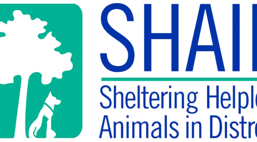 Record Crowd Supports Animal Shelter Yard Sale