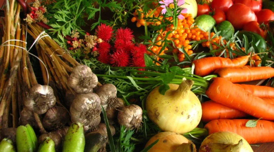 Province Announces Tax Cut To Help Foodbanks