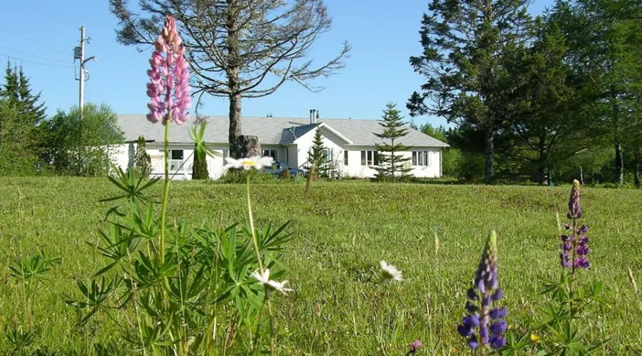 Couple Opens Home As Retreat For Those With PTSD