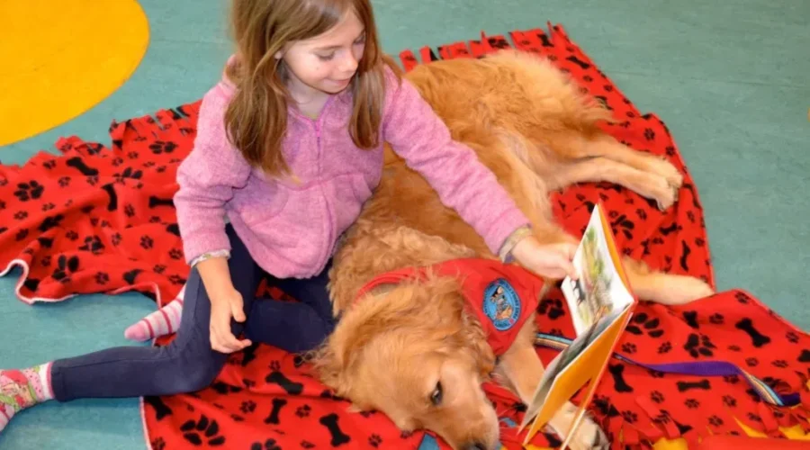 Furry Friend Helping Youth, Adults At Bridgewater Library
