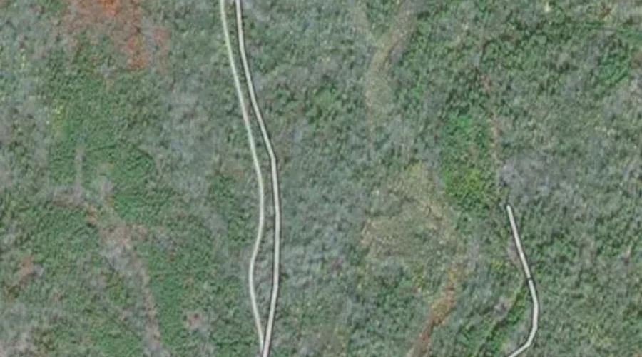 DNR, Fire Officials Battle Forest Fire In Jordan Falls
