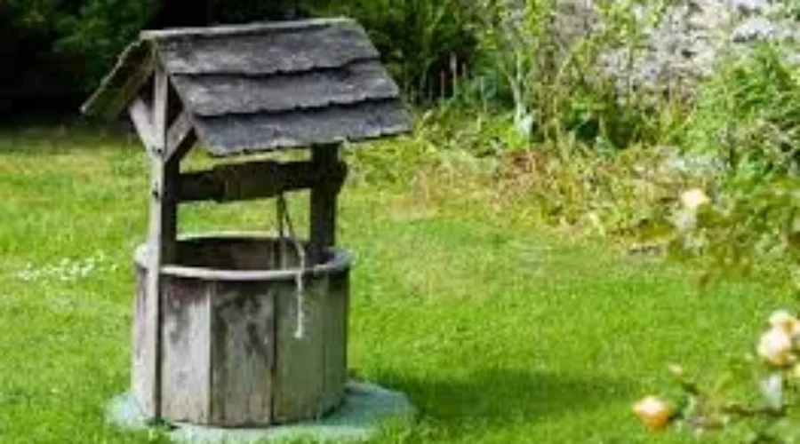 Hot Dry Weather Not So Sunny For Some Homeowners