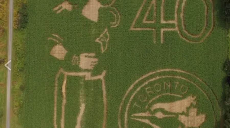 Hunter Brothers Farm Celebrates Blue Jays 40th Season With Corn Maze