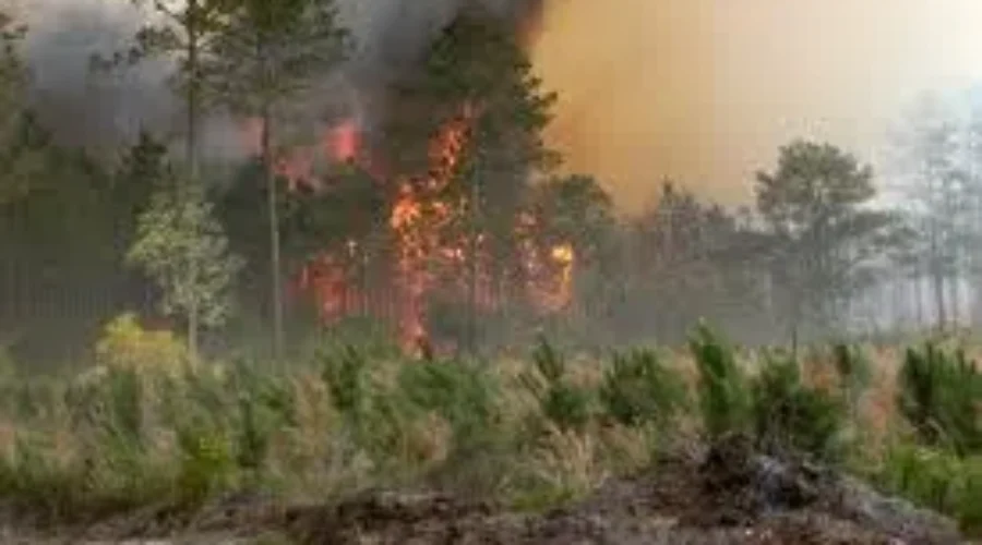 Two Fires Burning Out Of Control Near Keji