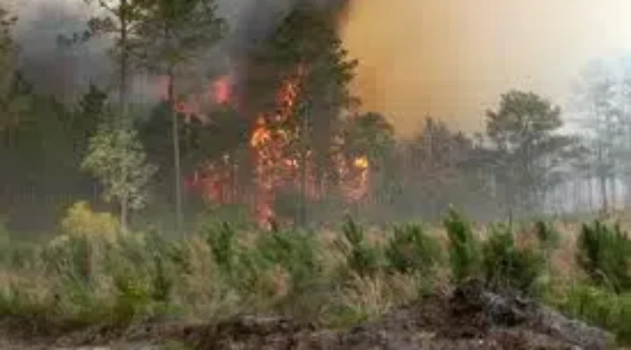 Forest Fires Still Burning Near Keji