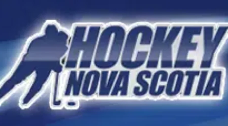 New Minor Midget Hockey Team Coming To Queens