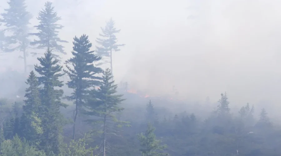 New Forest Fires Burning In Queens, Shelburne