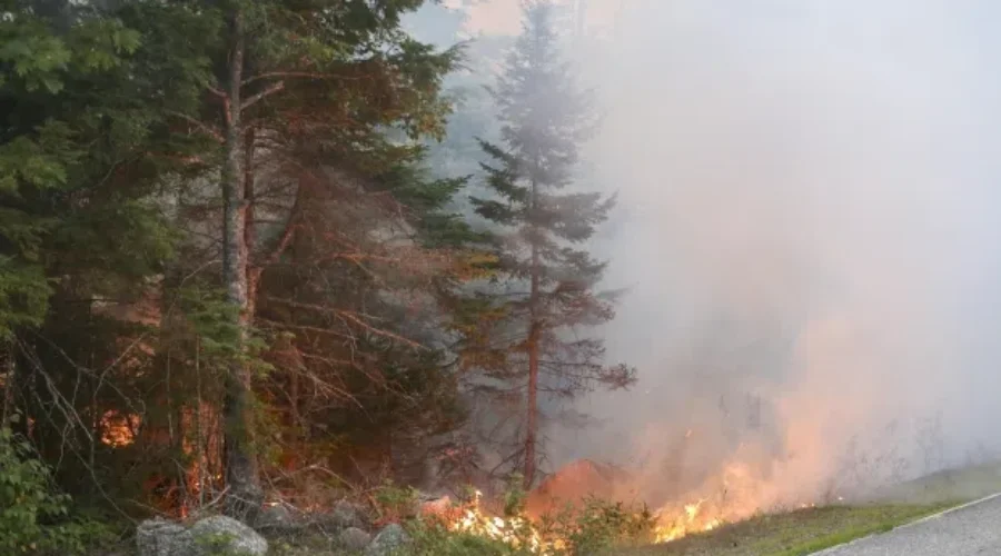 Seven Mile Lake Fire Reaches 240 Hectares