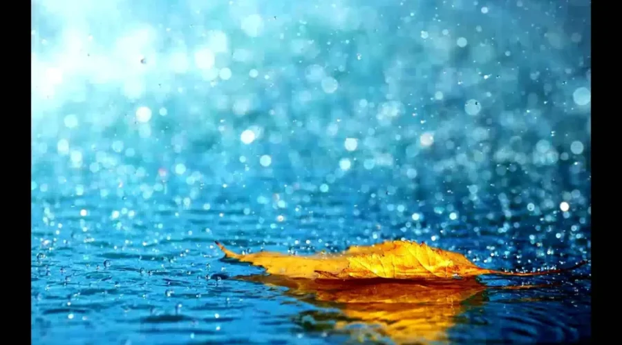 Rain, Rain, Don’t Go Away. A Welcome Sight In The Tri-Counties