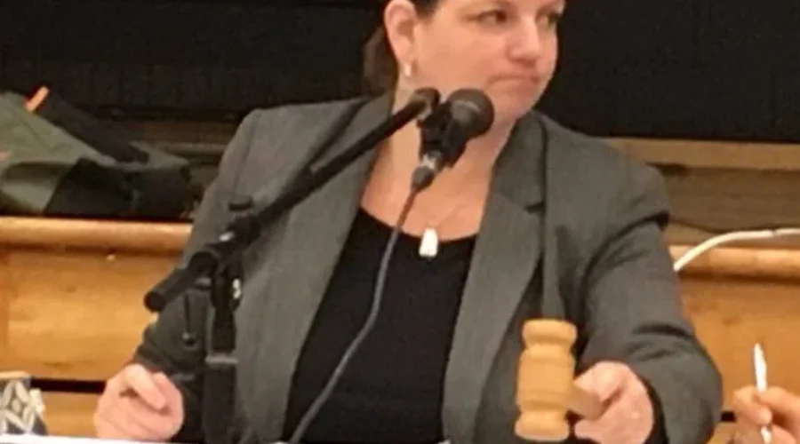 School Board Chair Unclear On Judicial Review Purpose
