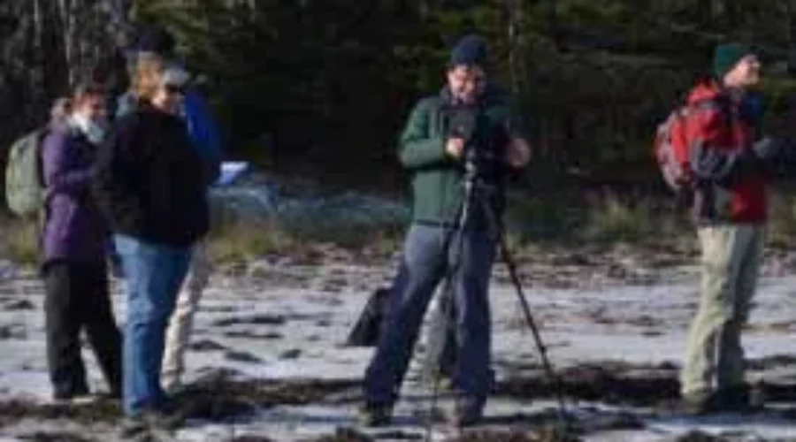 Nature Conservancy Of Canada Crunching Some Numbers Along South Shore