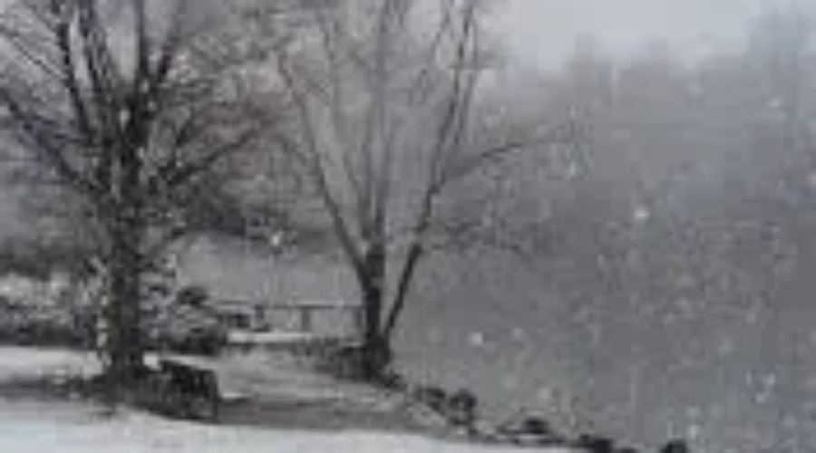 White Christmas?