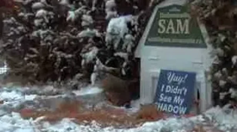 Will There Be Another Six Weeks Of Winter?