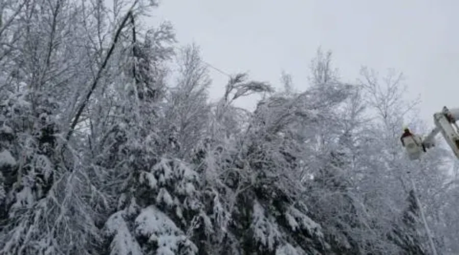 Wind Hampers Nova Scotia Power Crews