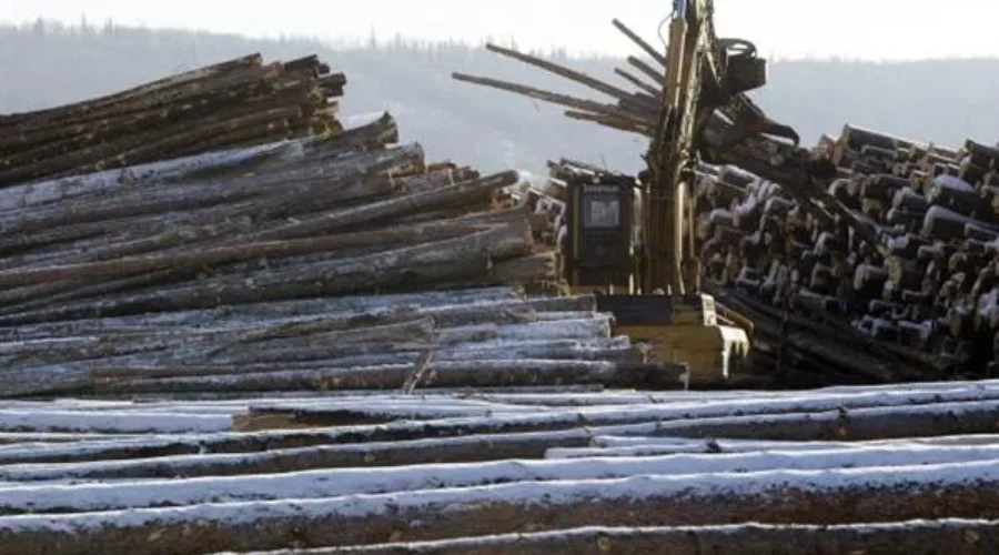 MLA Wants Government To Consult Public Before Giving Loggers Access To Crown Lands